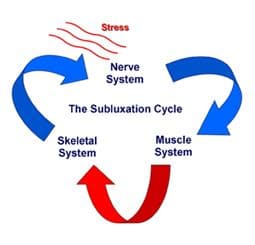 Chiropractic Princeton NJ Sublaxation Cycle